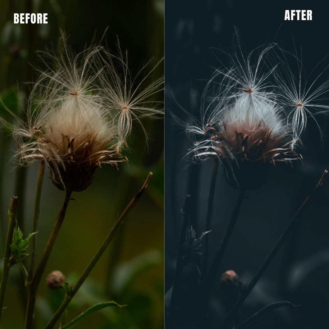 MPP - Moody BW Preset Pack