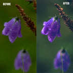 MPP - Water Color Preset Pack
