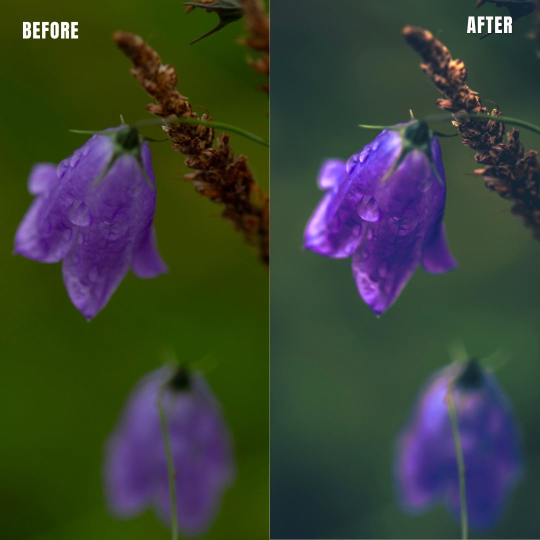 MPP - Water Color Preset Pack