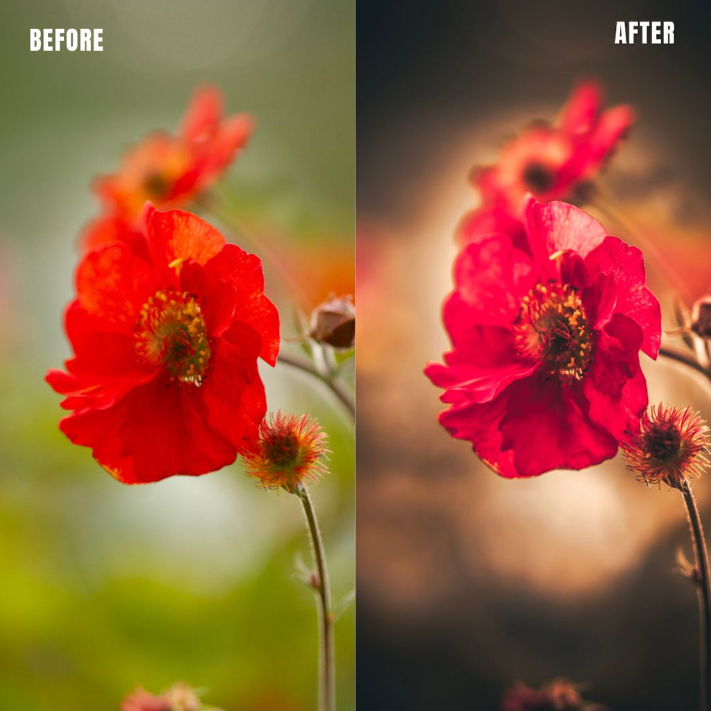 MPP - Golden Brownie Preset Pack