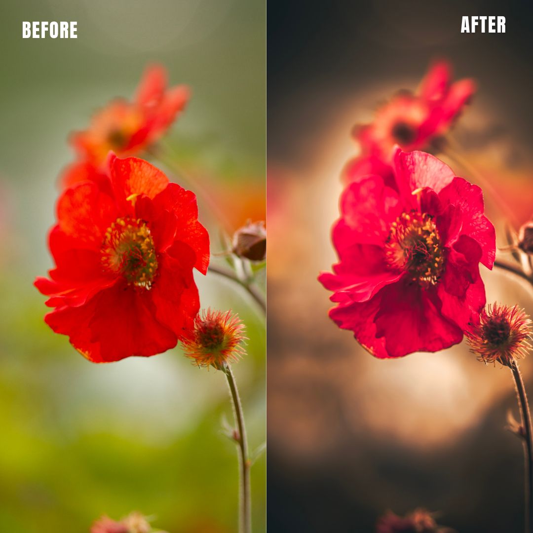 MPP - Golden Brownie Preset Pack