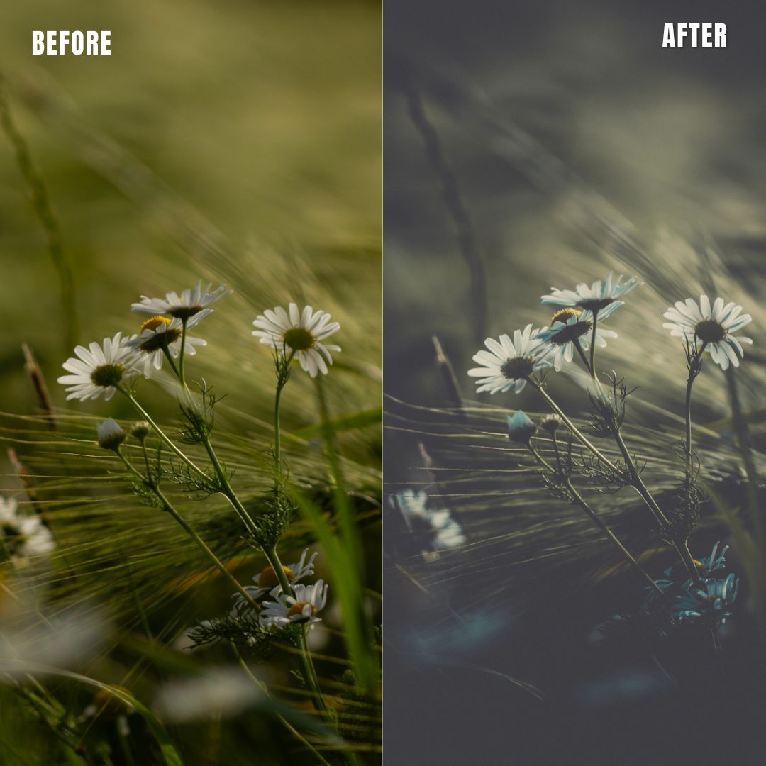 MPP - Polaroid Preset Pack