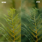 MPP - Rich Greens Preset Pack