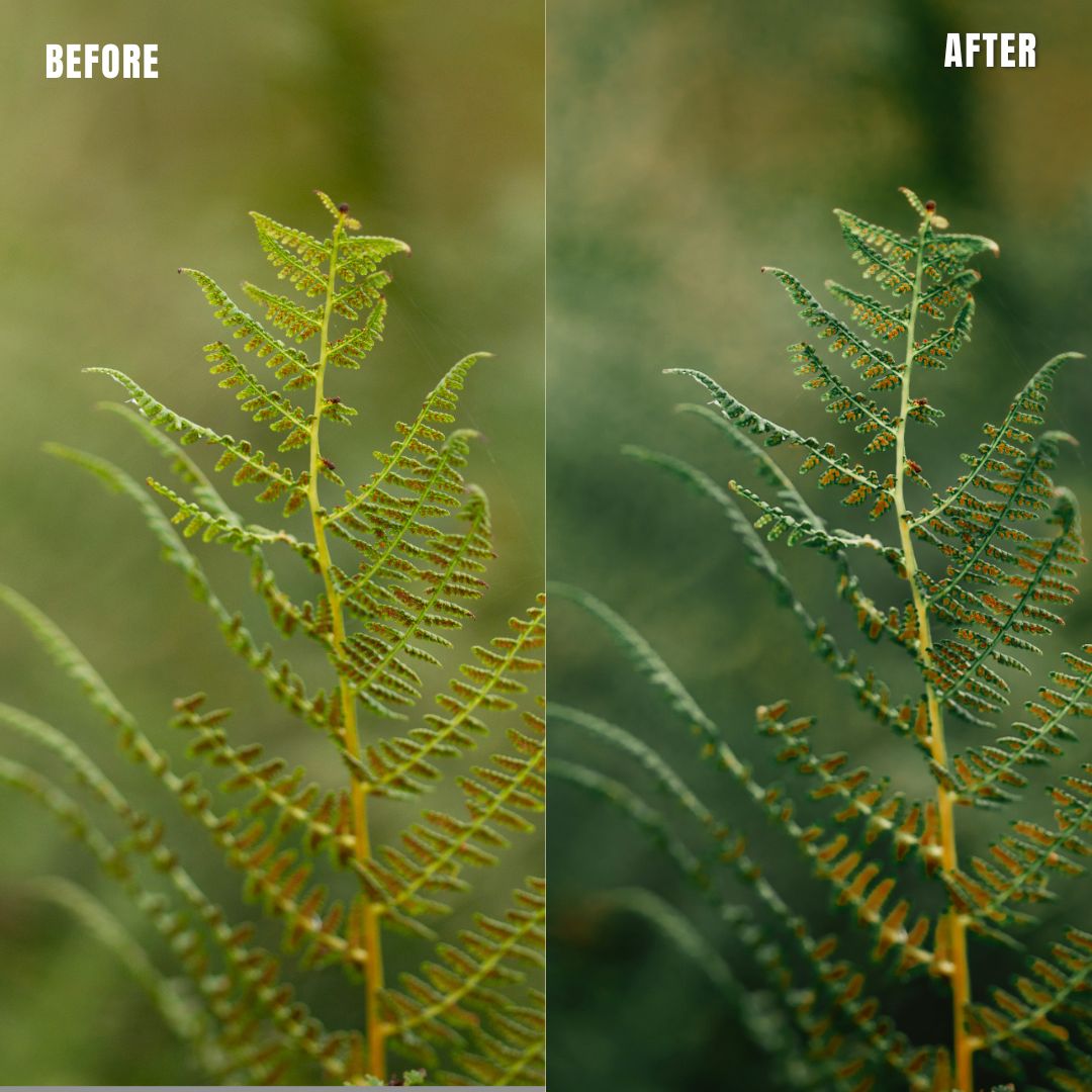 MPP - Rich Greens Preset Pack