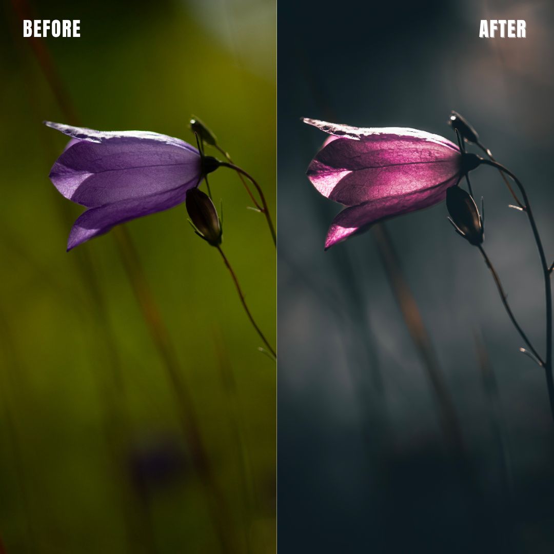 MPP - Brownie Preset Pack