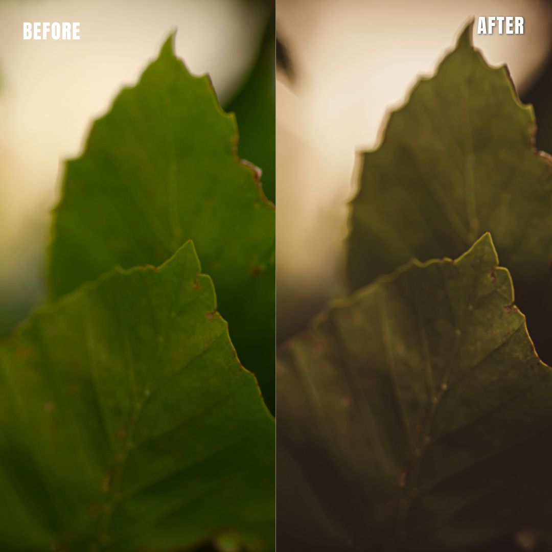 MPP - Earth Bound Preset Pack