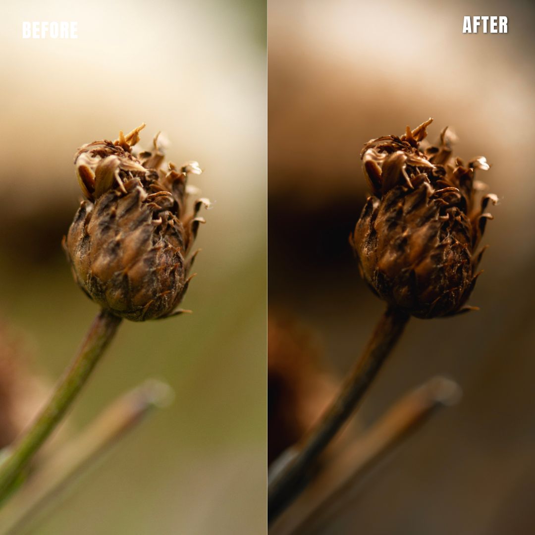 MPP - Muted Greens Preset Pack