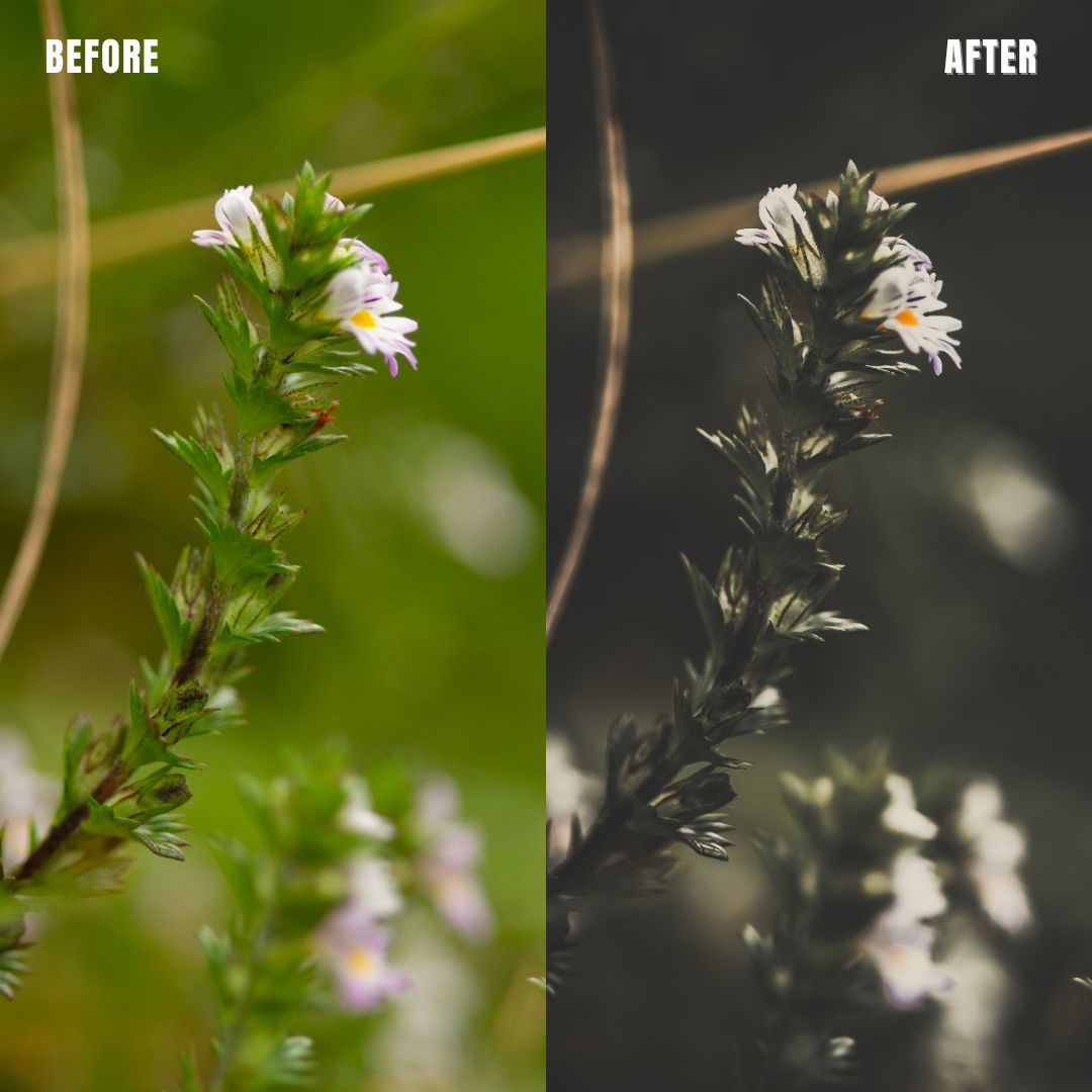 MPP - Dark Retro Preset Pack