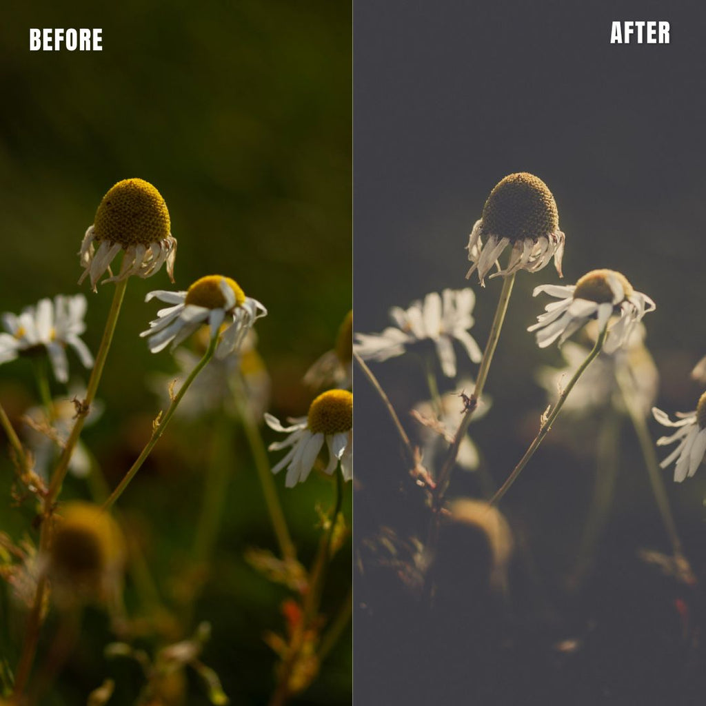 MPP - Polaroid Preset Pack