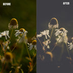 MPP - Polaroid Preset Pack