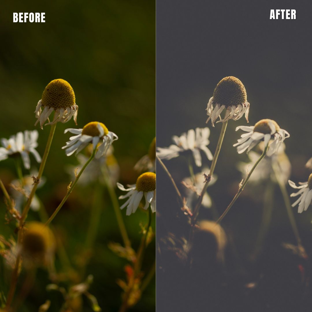 MPP - Polaroid Preset Pack