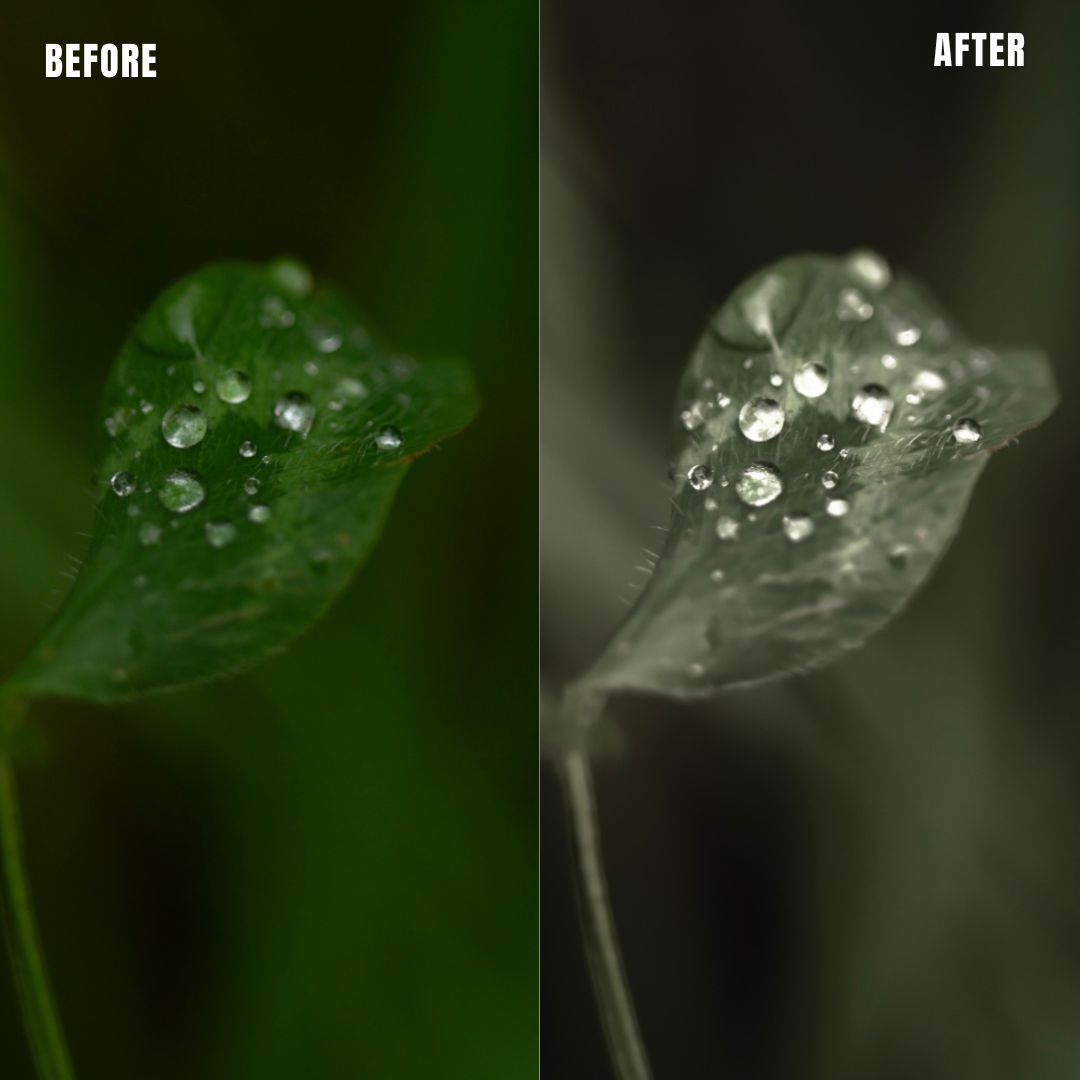 MPP - Muted Greens Preset Pack