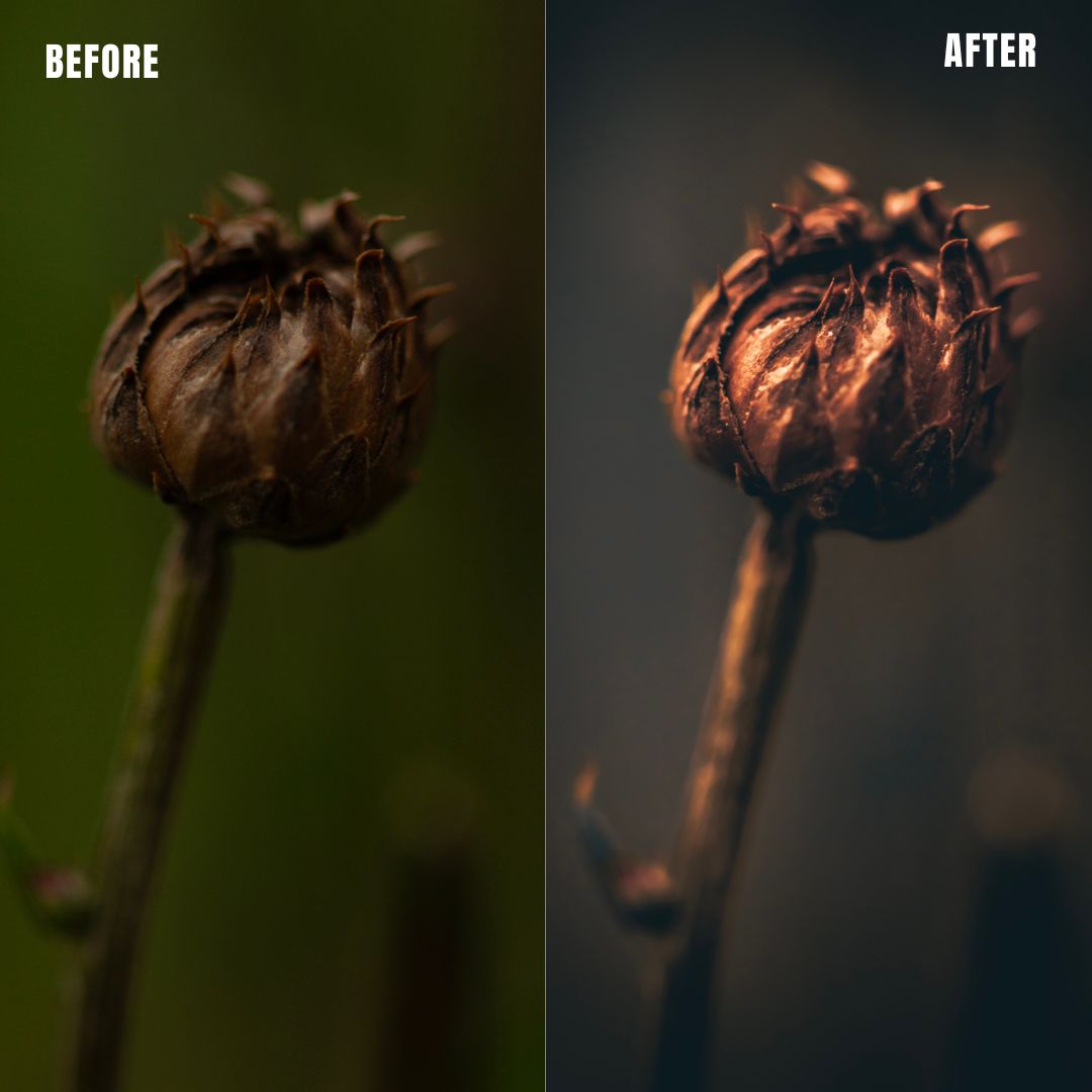 MPP - Golden Brownie Preset Pack