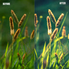 MPP - Water Color Preset Pack