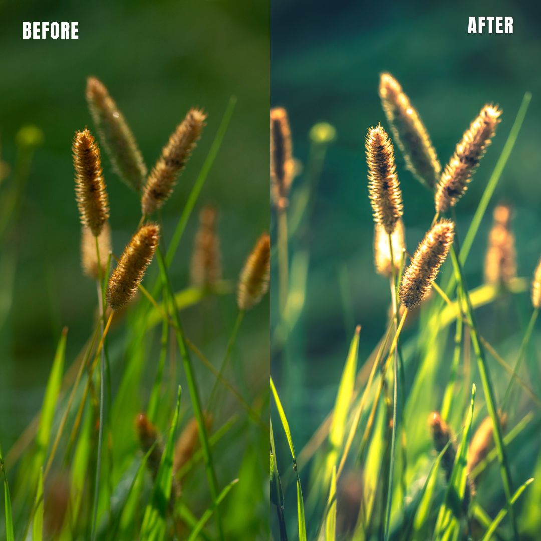 MPP - Water Color Preset Pack