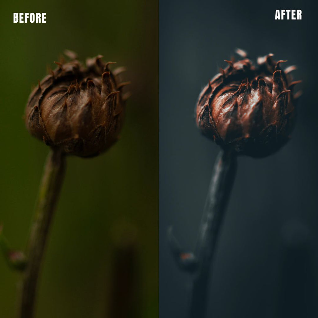 MPP - Moody BW Preset Pack
