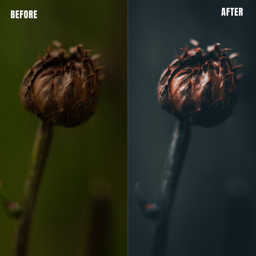 MPP - Moody BW Preset Pack