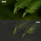 MPP - Dark Retro Greens Preset Pack