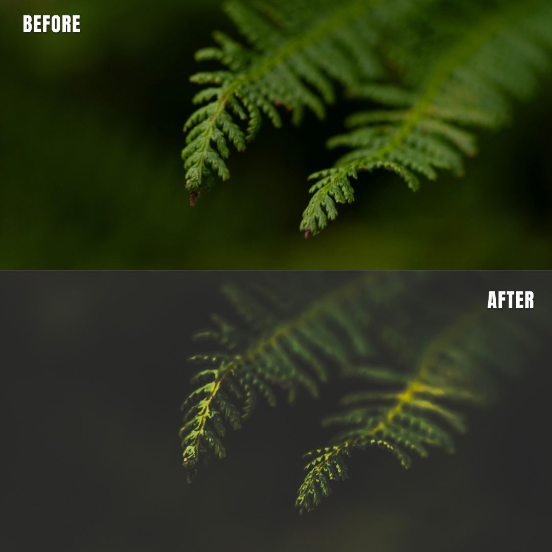 MPP - Dark Retro Greens Preset Pack