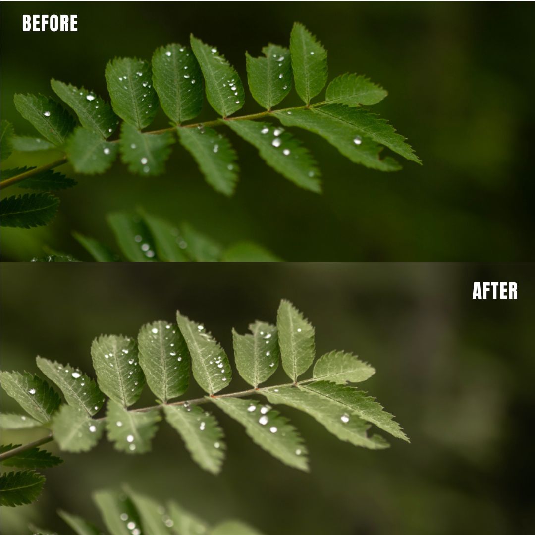 MPP - Basic edit  Preset pack