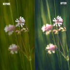 MPP - Pastels Preset Pack