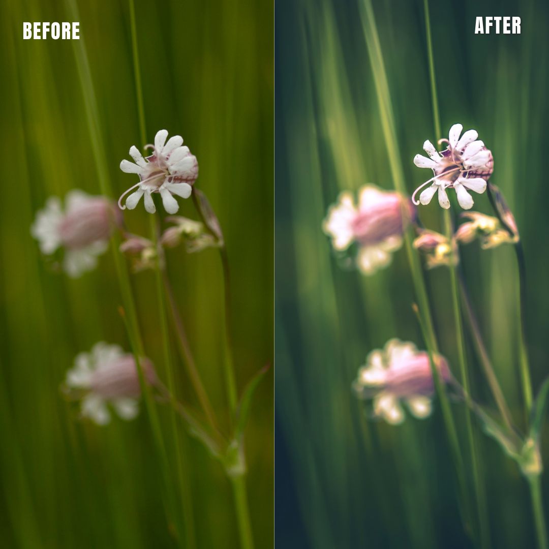 MPP - Pastels Preset Pack