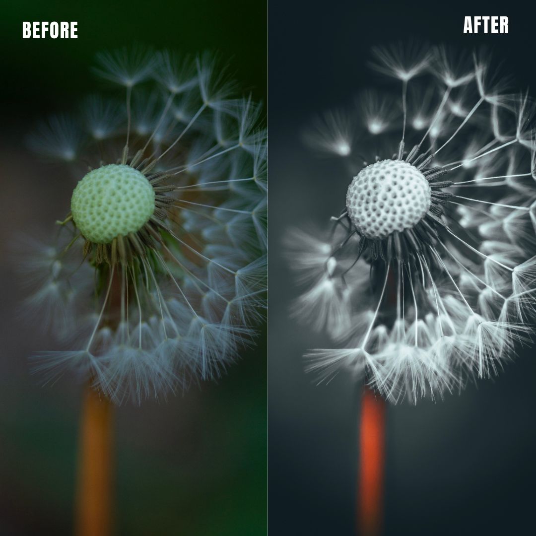 MPP - Deep BW with Reds Preset Pack