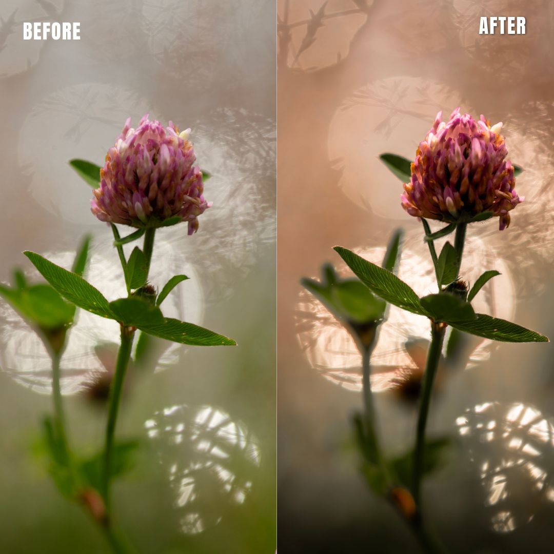 MPP - Natural Greentones with Warmth Preset Pack