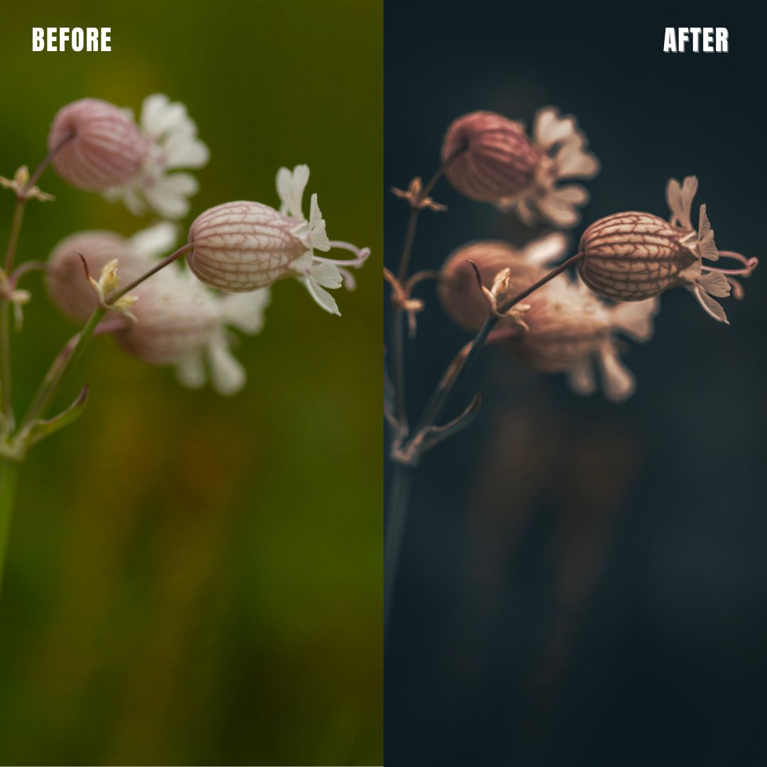 MPP - Brownie Preset Pack