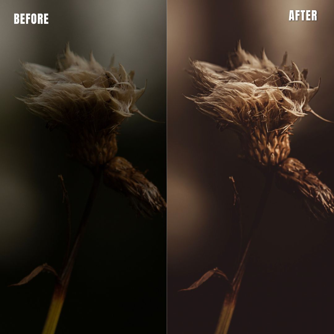 MPP - Earth Bound Preset Pack