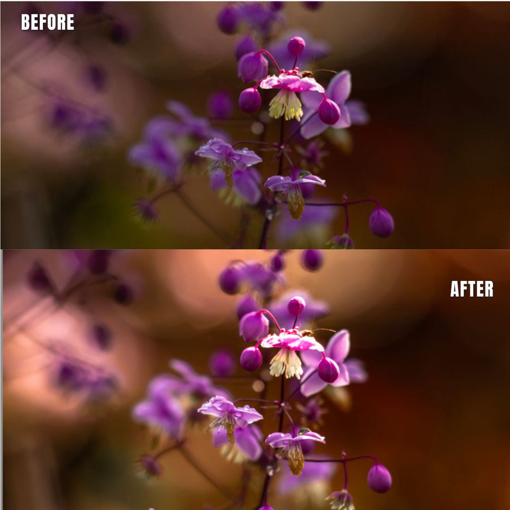 MPP - Basic edit  Preset pack