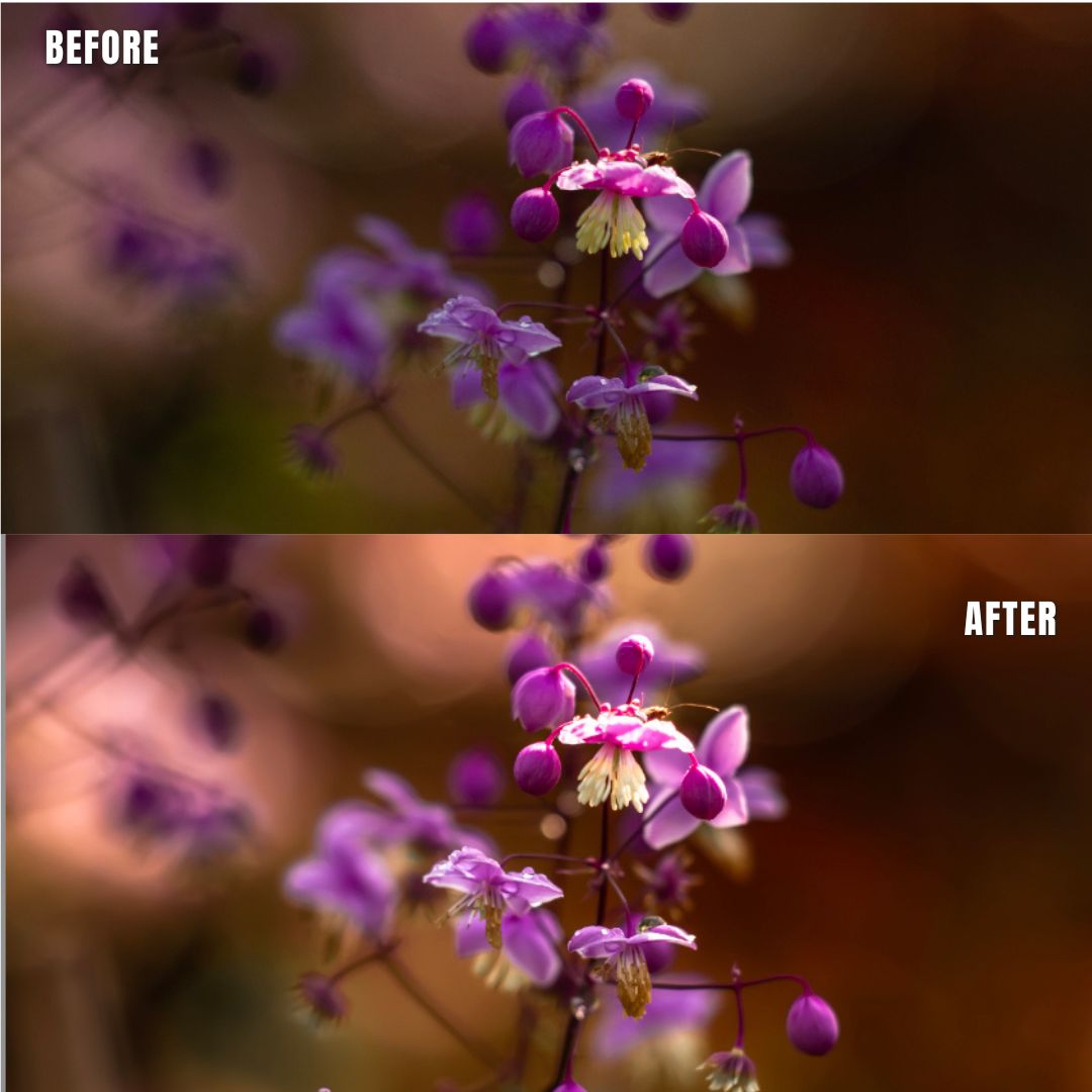 MPP - Basic edit  Preset pack