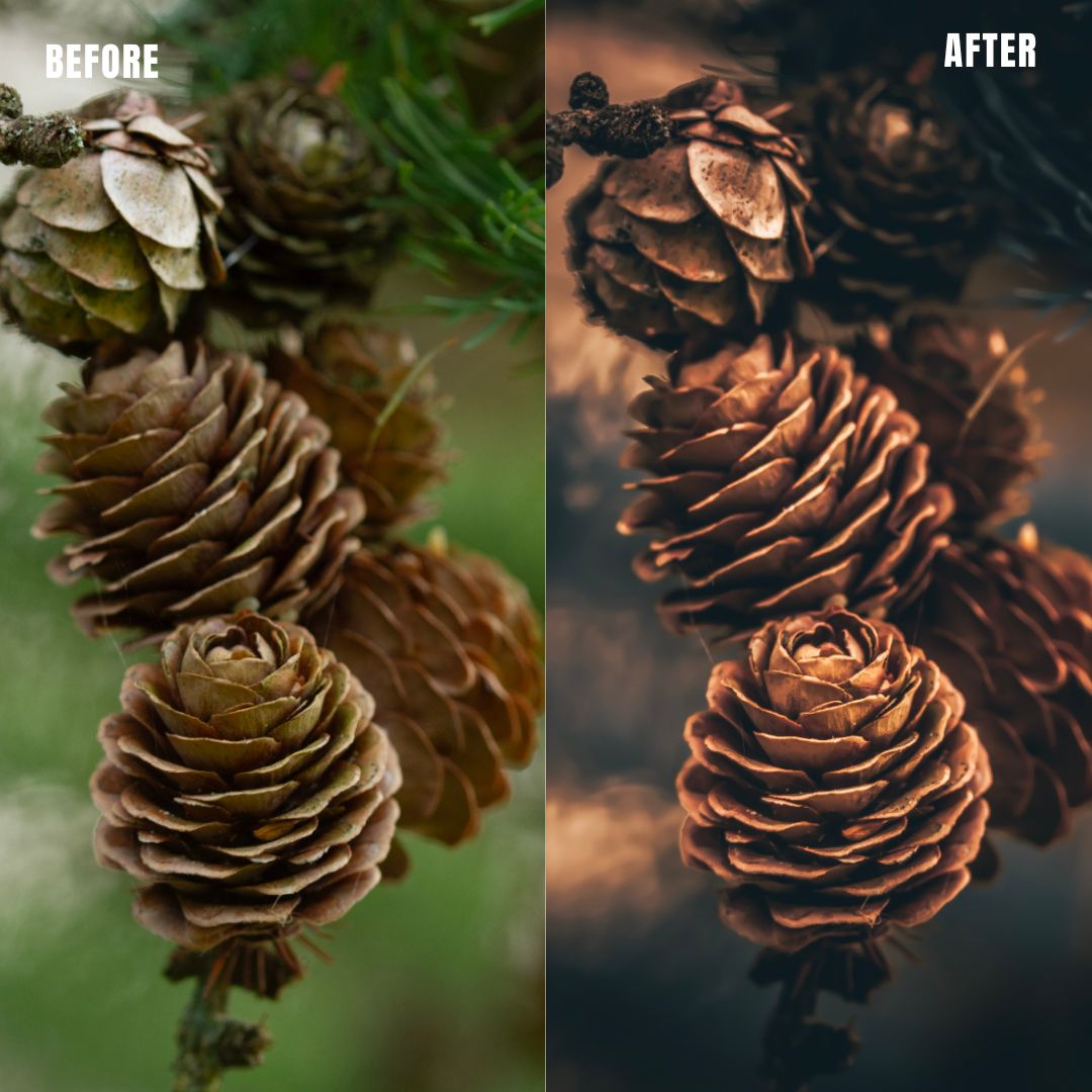 MPP - Golden Brownie Preset Pack