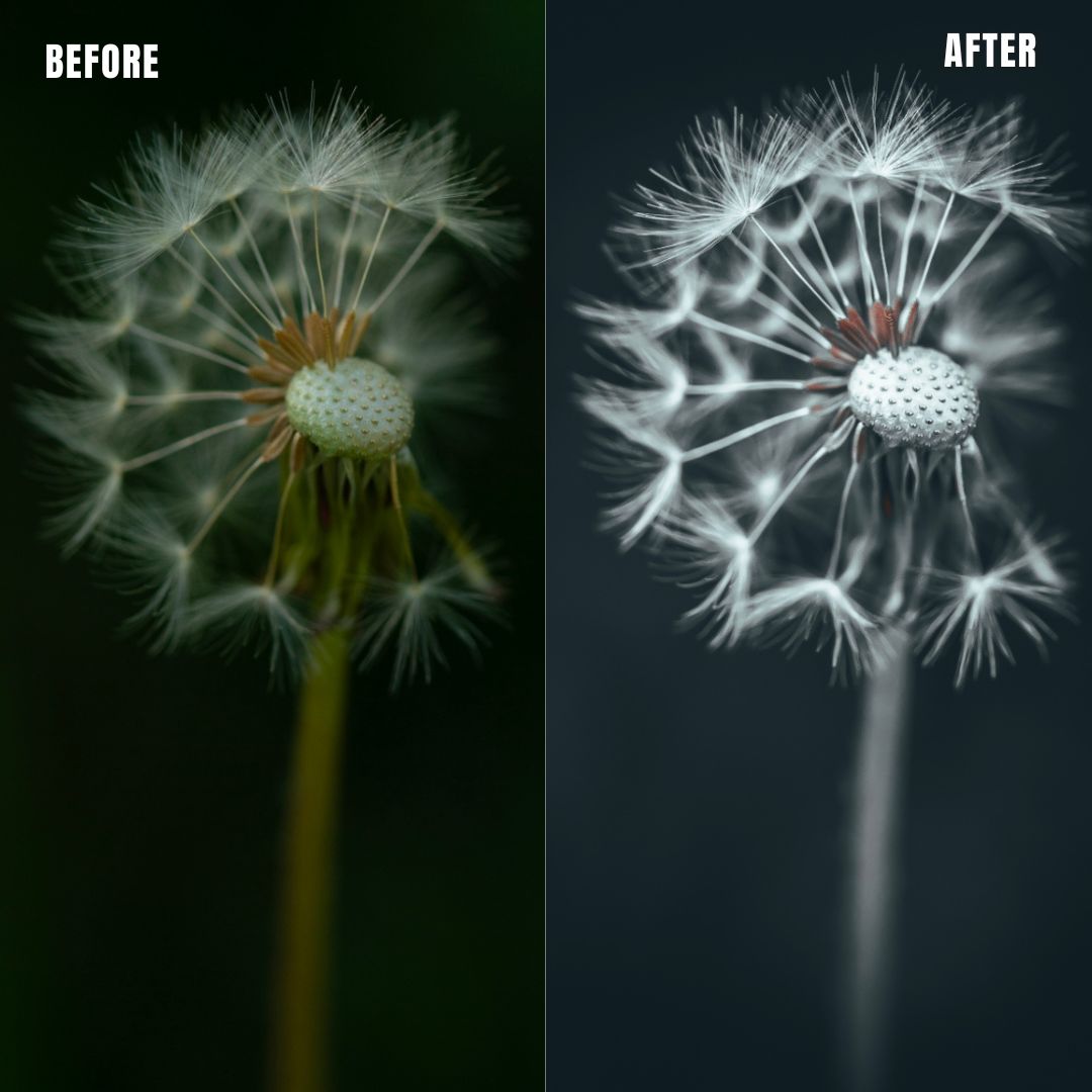 MPP - Deep BW with Reds Preset Pack