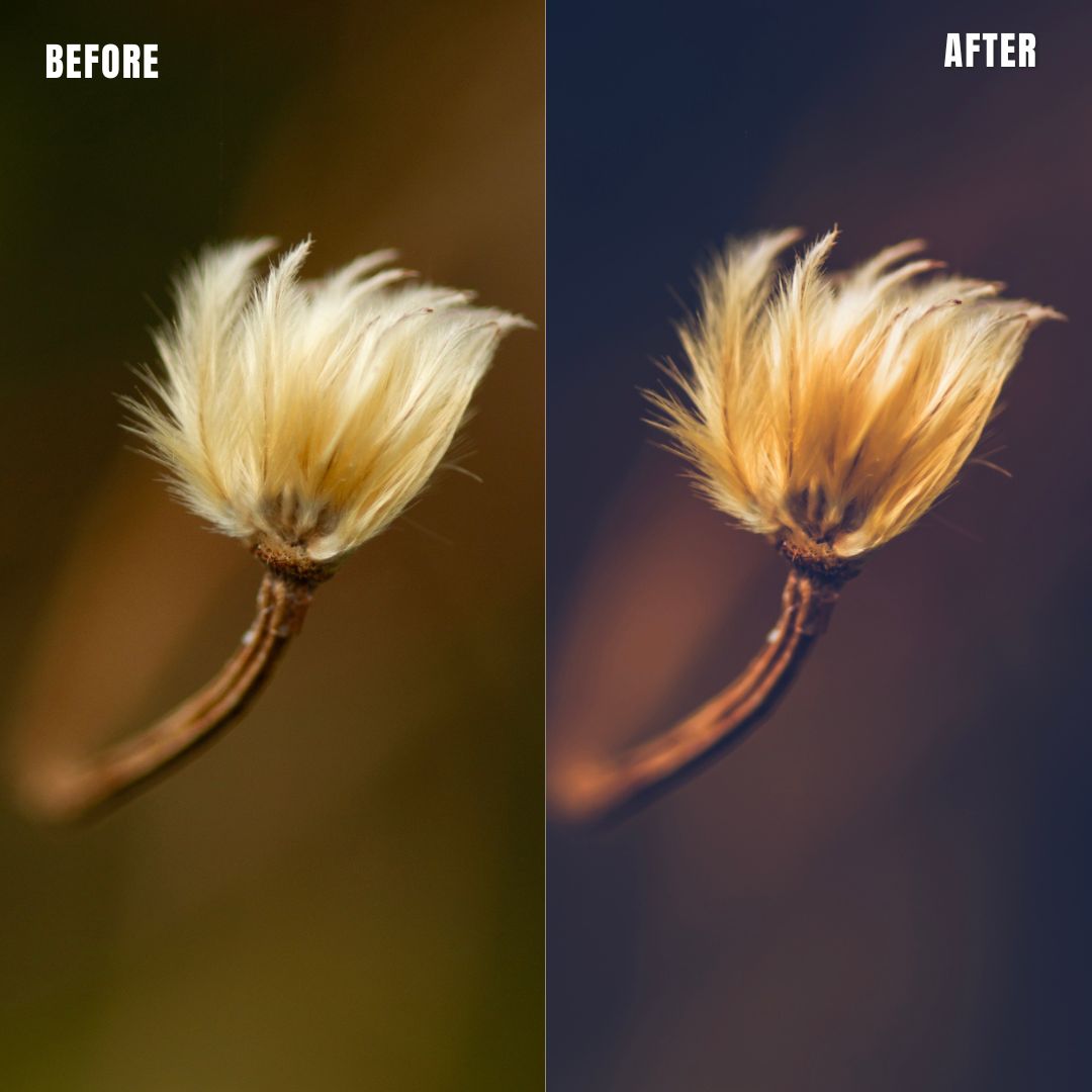 MPP - Moody Preset Pack