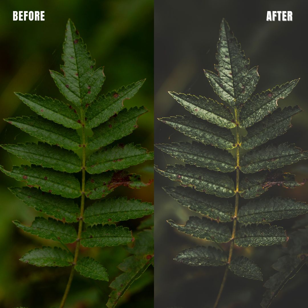 MPP - Dark Retro Preset Pack