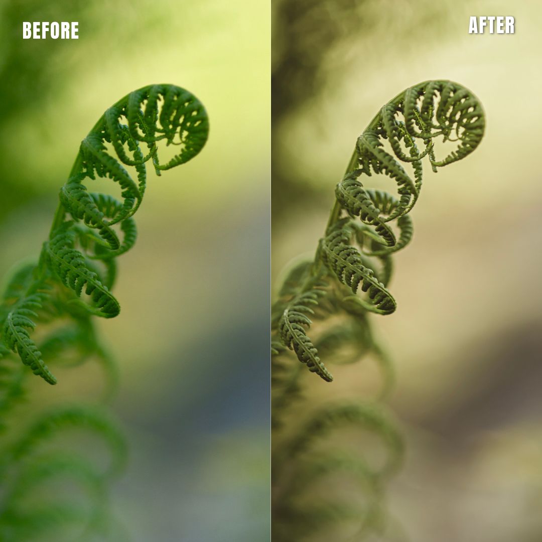 MPP - Earth Bound Preset Pack