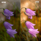 MPP - Natural Greentones with Warmth Preset Pack