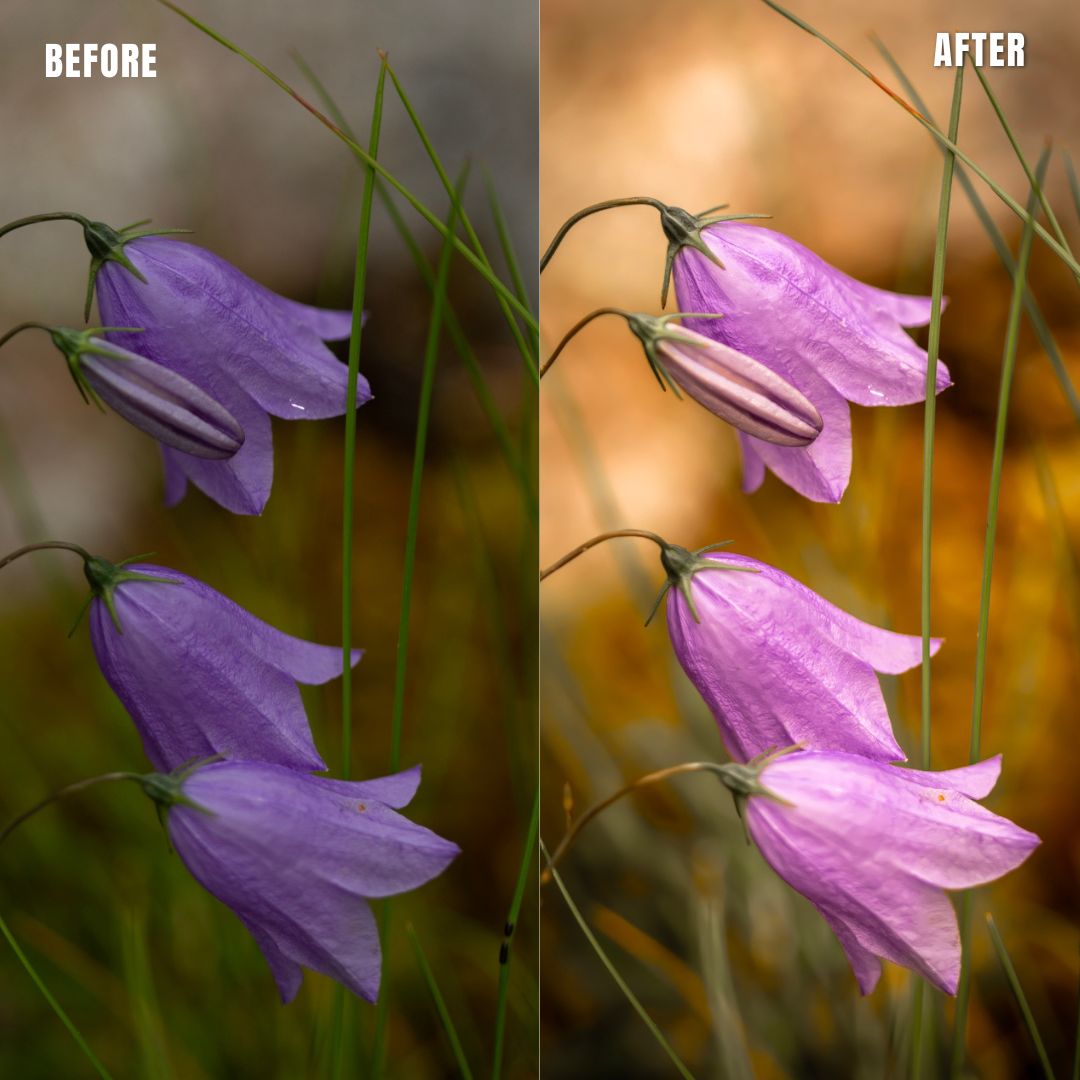 MPP - Natural Greentones with Warmth Preset Pack