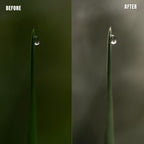 MPP - Muted Greens Preset Pack