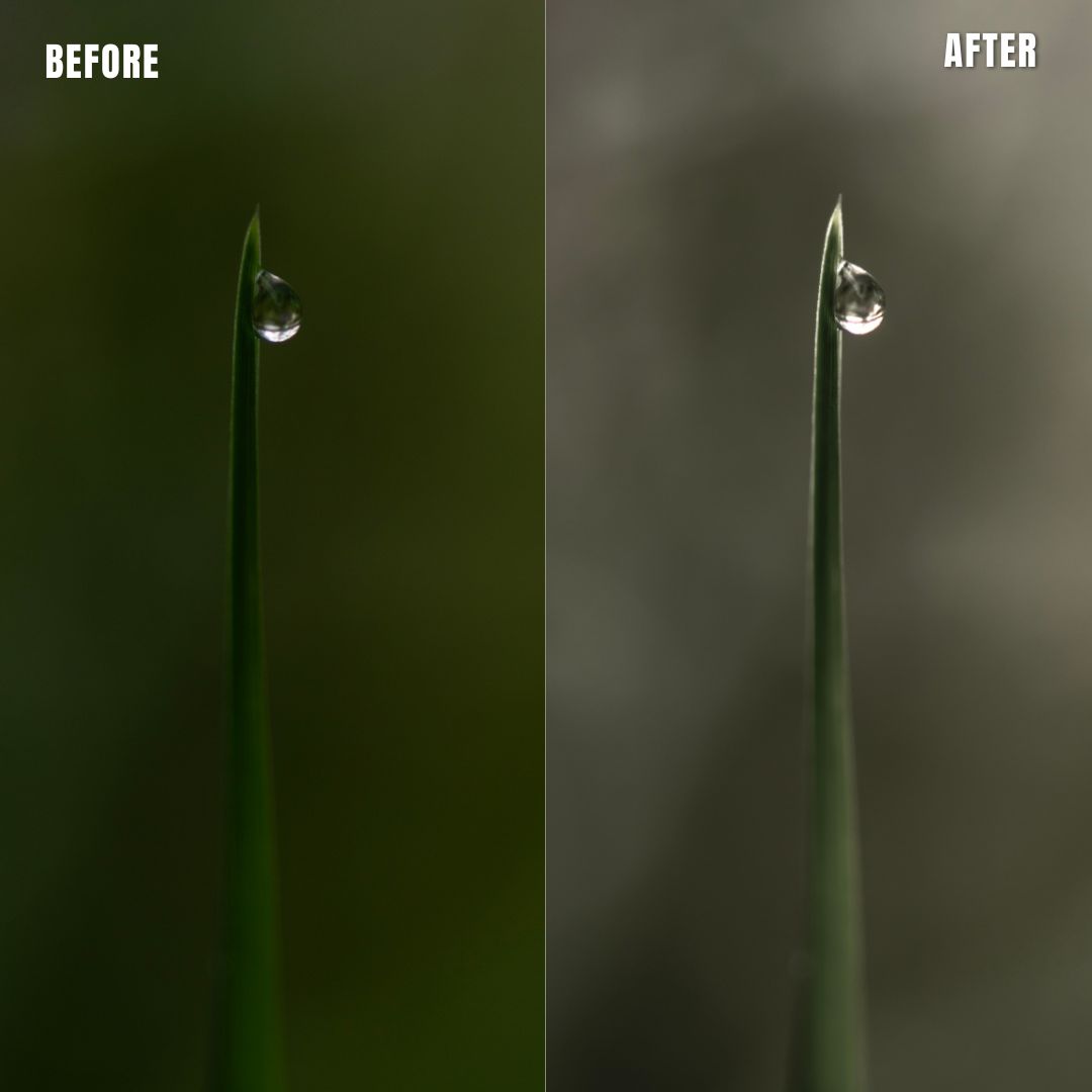 MPP - Muted Greens Preset Pack