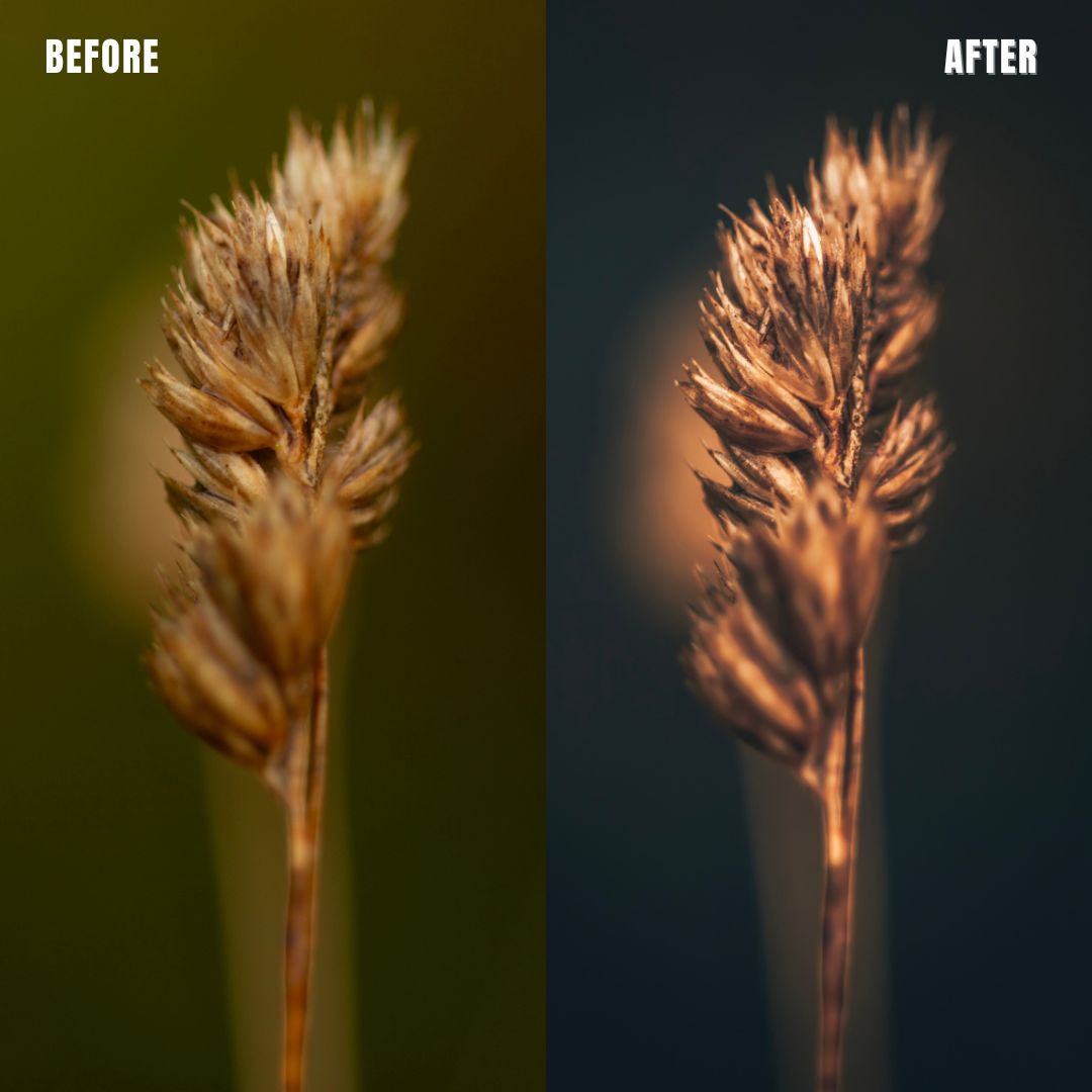 MPP - Brownie Preset Pack