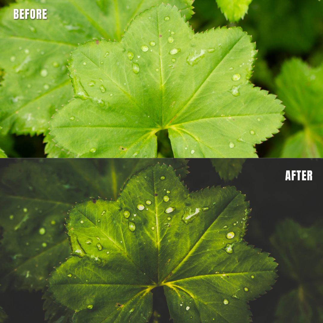 MPP - Dark Retro Greens Preset Pack