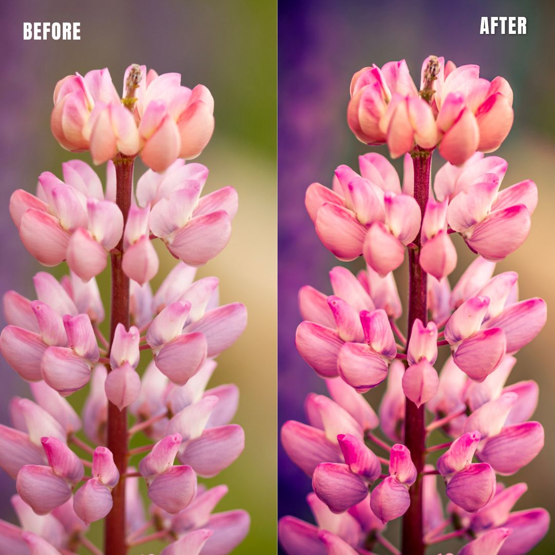 MPP - Pastels Preset Pack