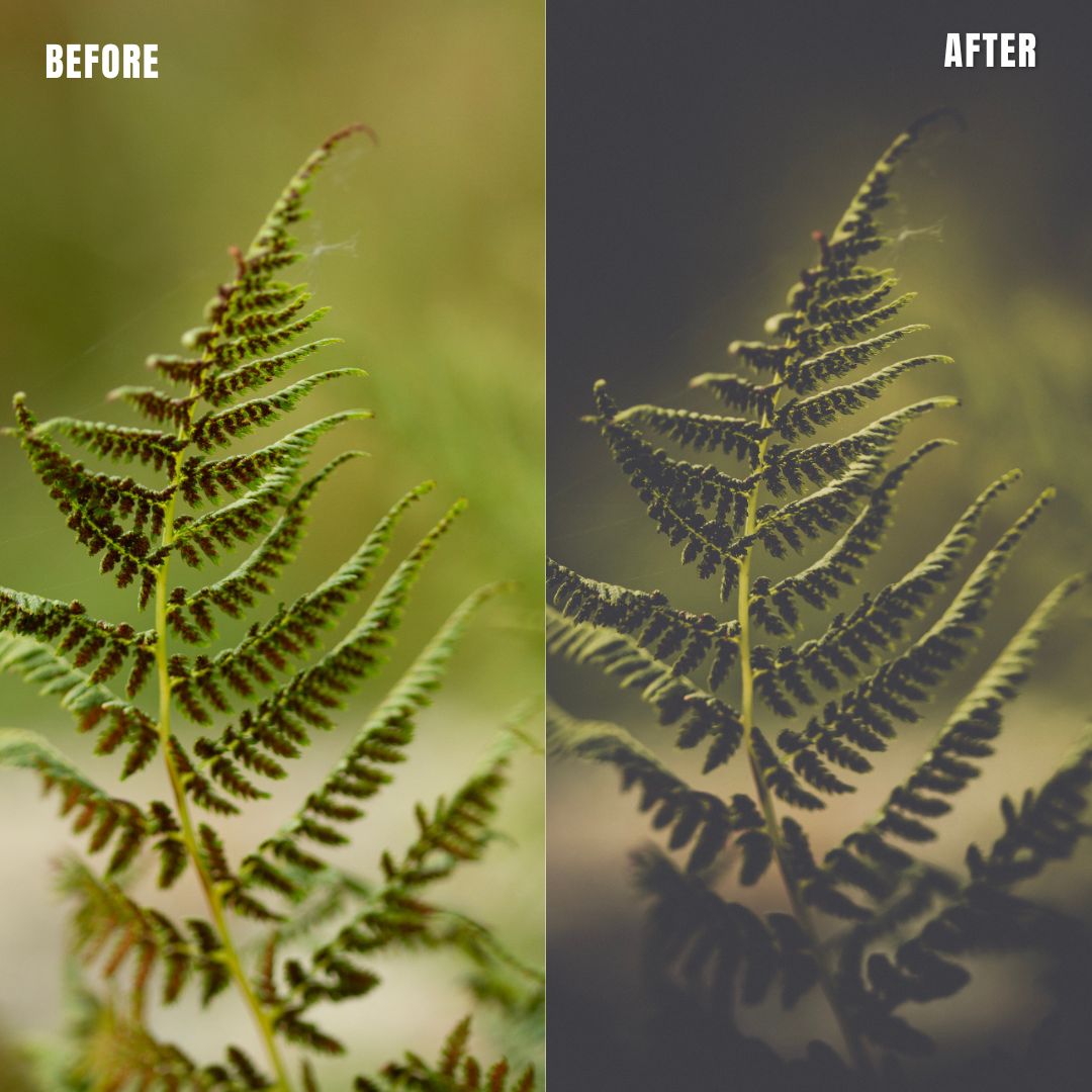 MPP - Polaroid Preset Pack