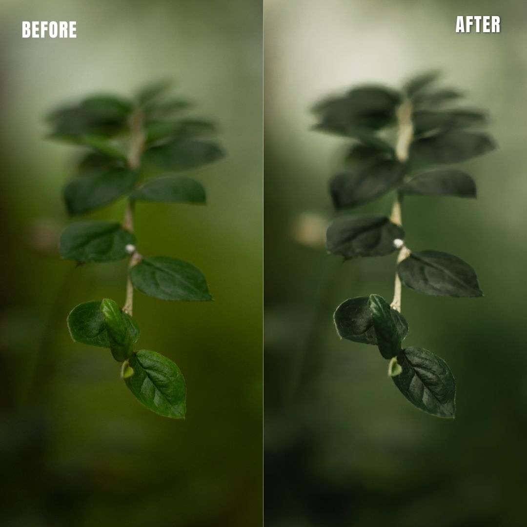 MPP - Rich Greens Preset Pack