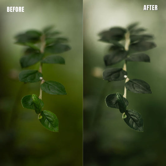 MPP - Rich Greens Preset Pack