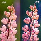 MPP - Water Color Preset Pack