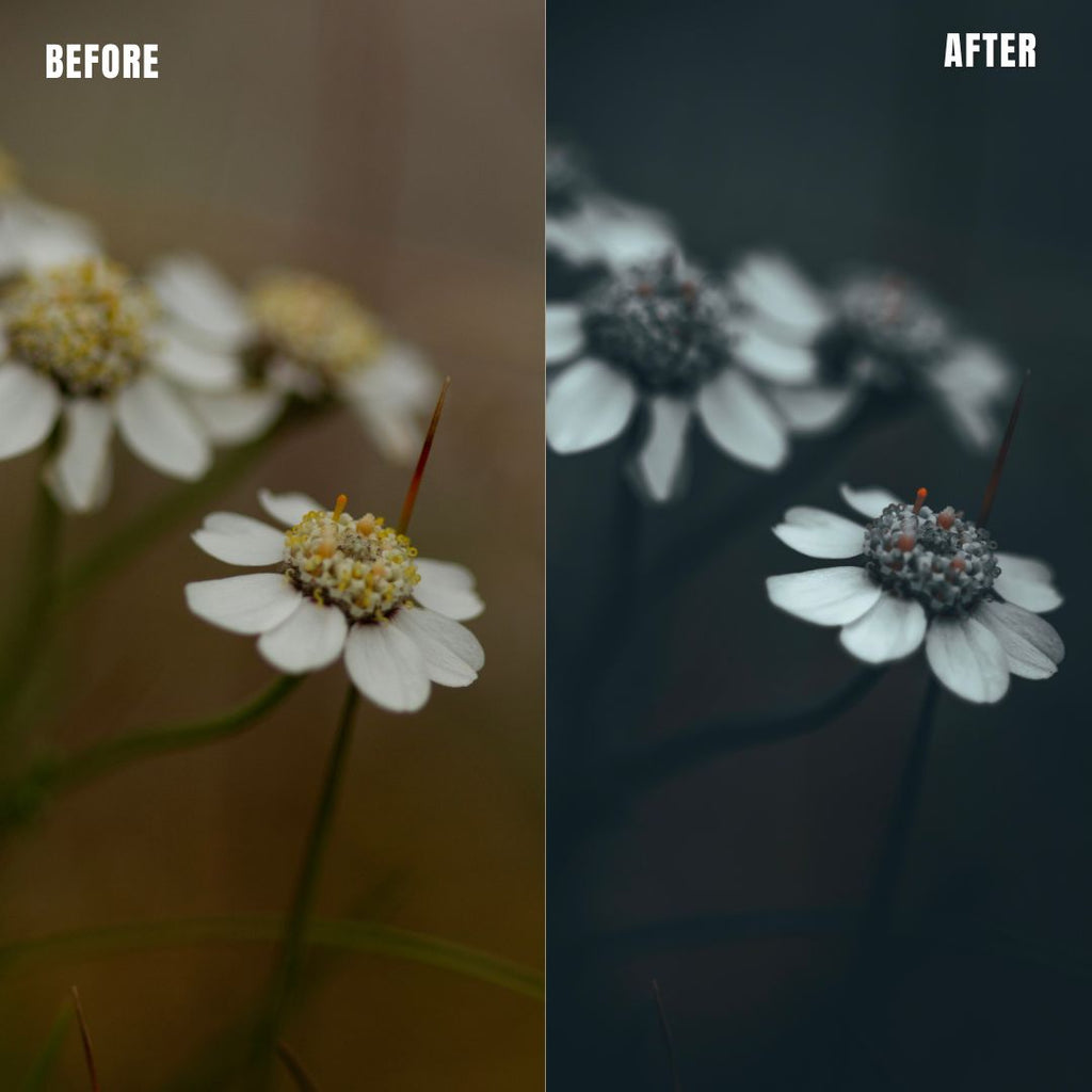 MPP - Moody BW Preset Pack