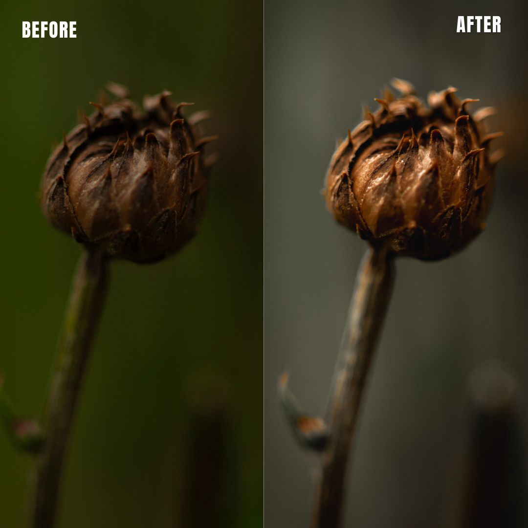 MPP - Muted Greens Preset Pack